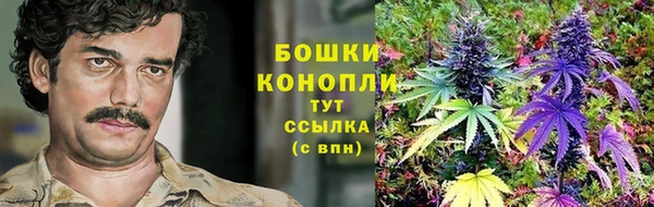 каннабис Белокуриха