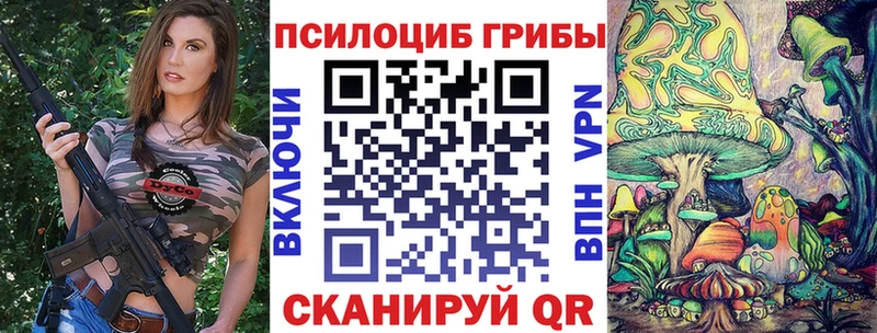 мега зеркало  Купино  Галлюциногенные грибы ЛСД 